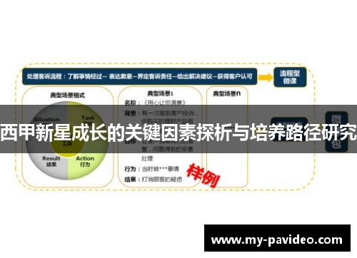 西甲新星成长的关键因素探析与培养路径研究
