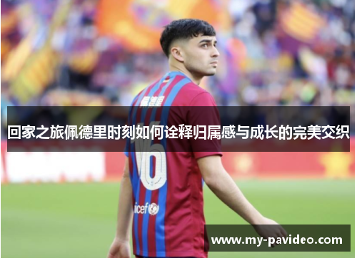 回家之旅佩德里时刻如何诠释归属感与成长的完美交织
