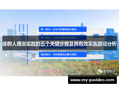 体树人理念实践的五个关键步骤及其有效实施路径分析