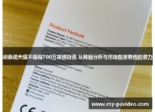 胡桑诺夫值不值得700万英镑投资 从数据分析与市场前景看他的潜力
