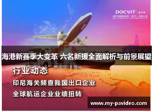 海港新赛季大变革 六名新援全面解析与前景展望