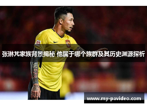 张琳芃家族背景揭秘 他属于哪个族群及其历史渊源探析