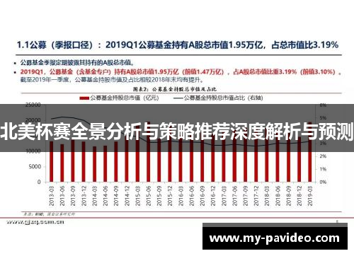 北美杯赛全景分析与策略推荐深度解析与预测